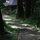 羽黒山の参道