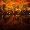 絶景逆さ紅葉～曽木公園2018～