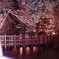 紅葉＠神戸市立森林植物園１