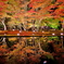 逆さ紅葉