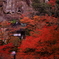 雨の那谷寺