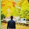 紅葉散歩