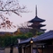 京都 ねねの道 秋景色