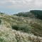葛城山の秋４