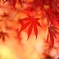 燃える