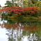 兼六園は秋真っ盛り