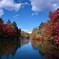 高原の紅葉