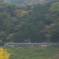 初秋の彩り