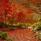 絲原記念館の紅葉