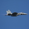 F15J