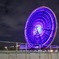 OSAKAWHEEL