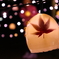 紅葉の灯り
