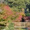 小城　紅葉