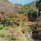 小城　紅葉