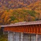 紅葉 橋 小樽市 高速道路