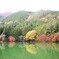 紅葉体感