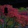 高山寺と紅葉