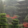 雨でも・・・瑠璃光寺