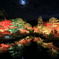 夜景