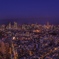 スカイラウンジからの夜景