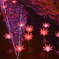 Flowerイルミネーション