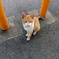 なんかちょ～だい♪
