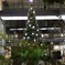 丸の内スナップ