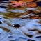 水面
