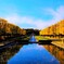 しずくblue　紅葉reflection♪。.:＊・゜