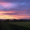 夕日に魅せられて。