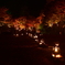 岩屋堂ライトアップ