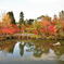 京都の紅葉（永観堂）