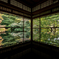 秋の瑠璃光院1