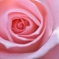 Spiral