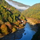 早朝の嵐山１