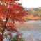 紅葉の草木ダム
