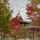 紅葉にはまだ早い平等院