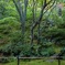 常寂光寺②