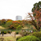 六義園 紅葉カメラ