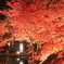 曽木公園 紅葉ライトアップ