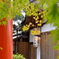 京都　宇治上神社