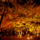 紅葉_月の石公園