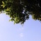 空