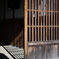 ひかり　その51