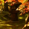 禅林寺