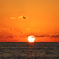 続編～嫁がとらえた夕日！！