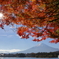 紅葉と富士