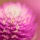 久しぶりのお花PHOTO♡