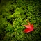 DSC02543_Fotor