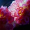造花